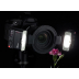 Godox MF12 K2 Kit